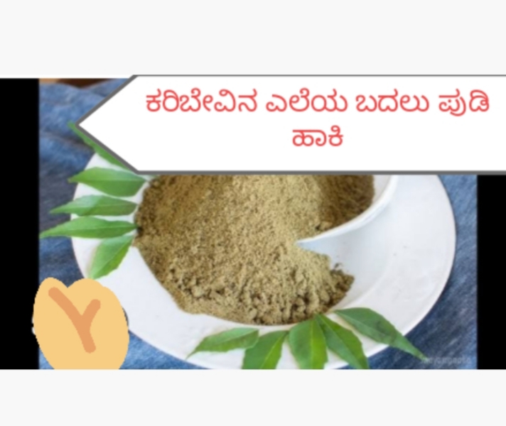 ಕರಿಬೇವಿನ ಎಲೆಯ ಬದಲು ಪೌಡರ್ ಮಾಡಿ